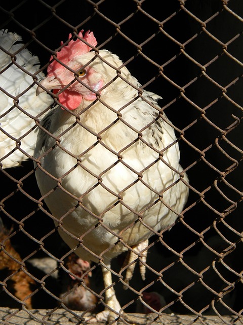 巨大压力 巨大压力