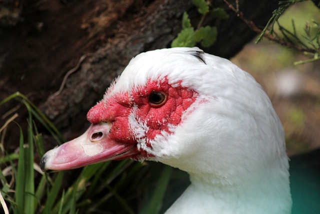 案例足以证 案例足以证