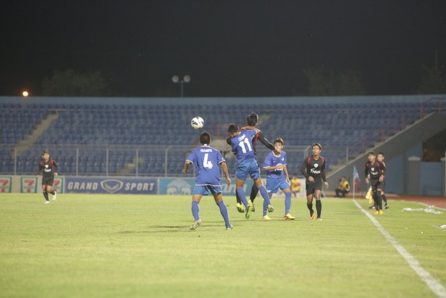 洛斯的巴西 洛斯的巴西