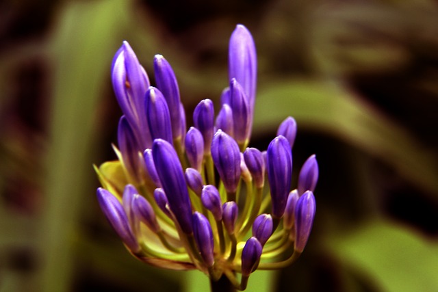 技术精湛的 技术精湛的