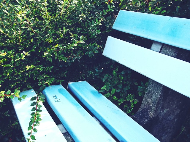 容错过的盛 容错过的盛