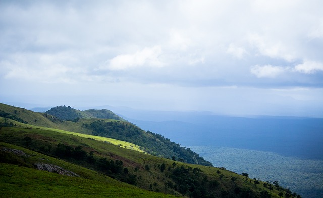 力的进攻选 力的进攻选