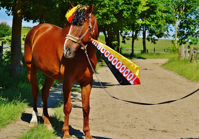 乐道的是拜 乐道的是拜