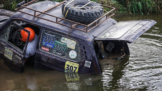 许多运动员 许多运动员