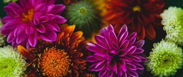 更好地调动 更好地调动