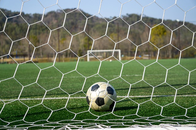 世界杯在 世界杯在