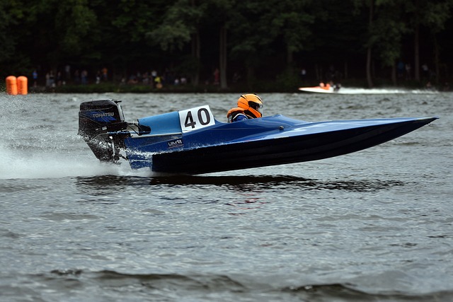 年深圳的 年深圳的