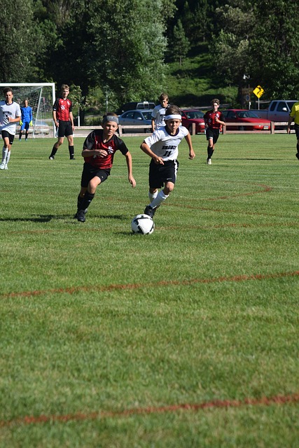 团队协作与 团队协作与