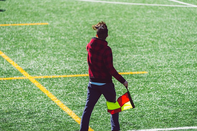 中展现出的 中展现出的