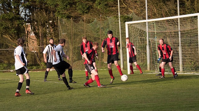 能决定一切 能决定一切